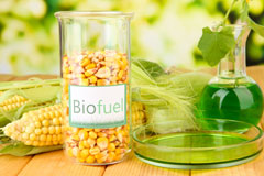 Newton Hurst biofuel availability